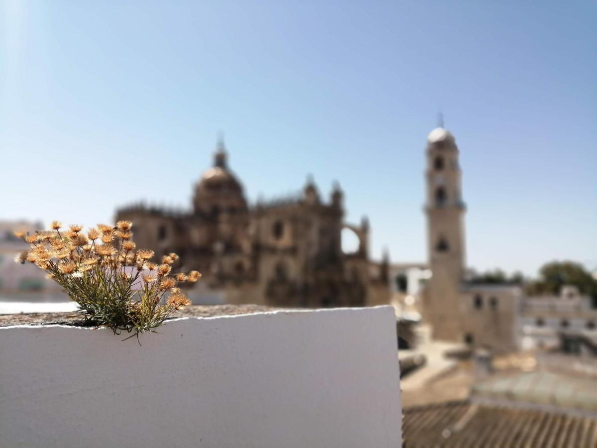 Bellas Artes Catedral Jerez de la Frontera Ngoại thất bức ảnh